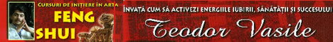 CURSURI DE INITIERE IN ARTA FENG SHUI